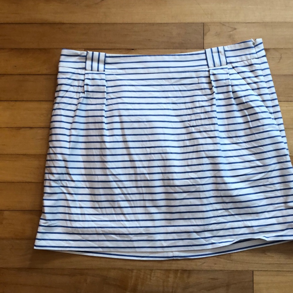 The Limited Striped Skirt Size 12